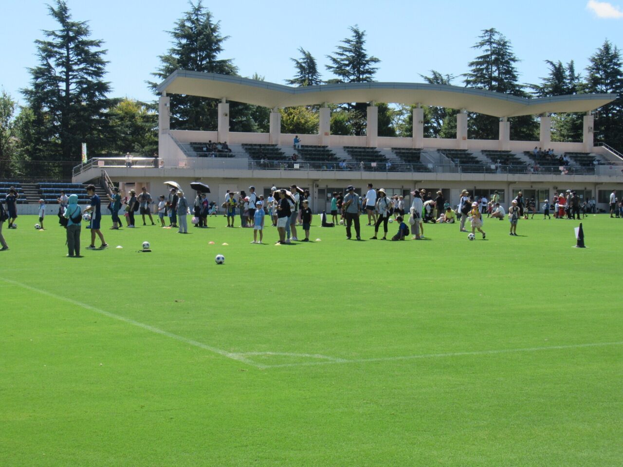 みんなのパークフェス