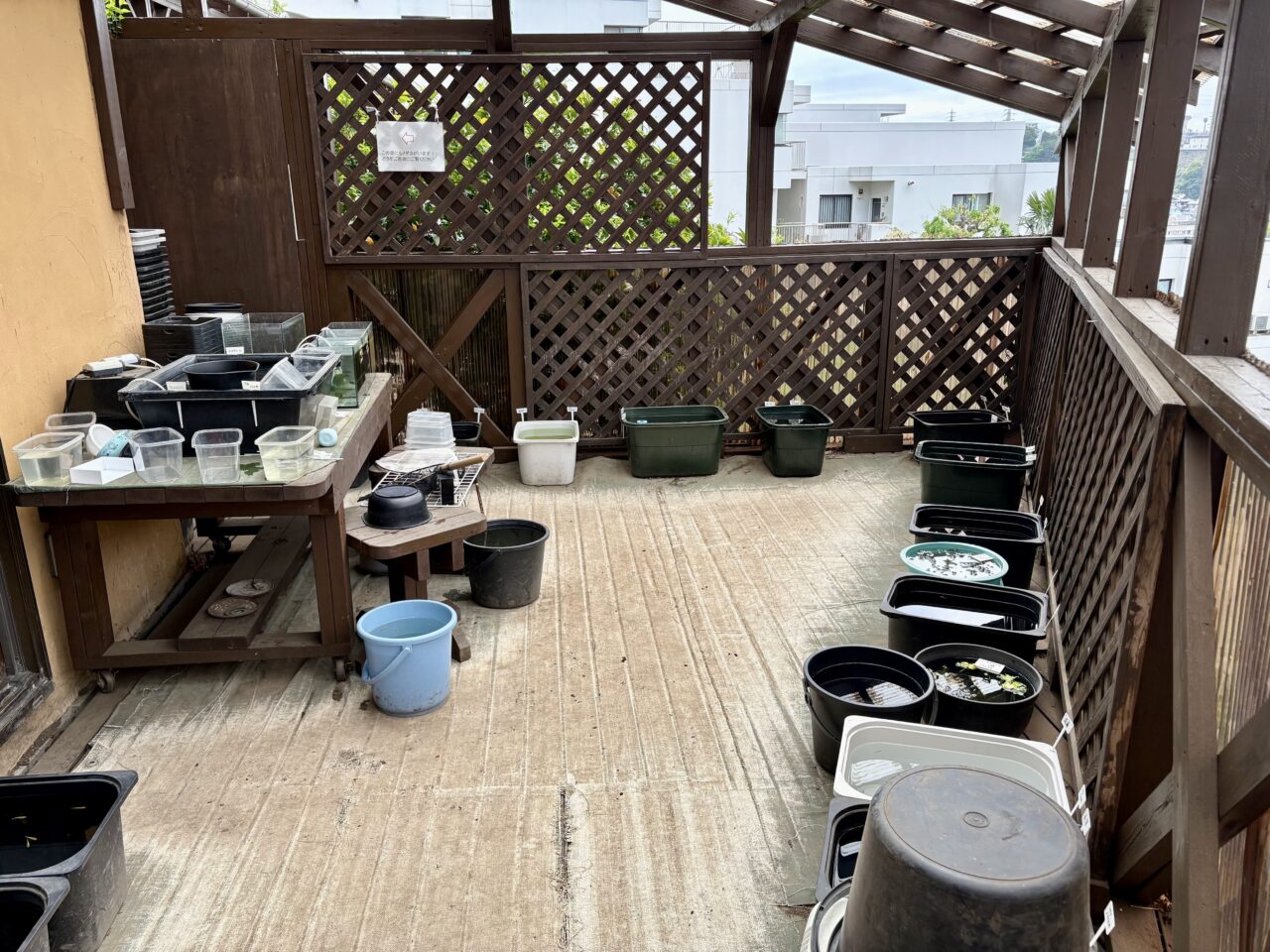 めだか屋えん