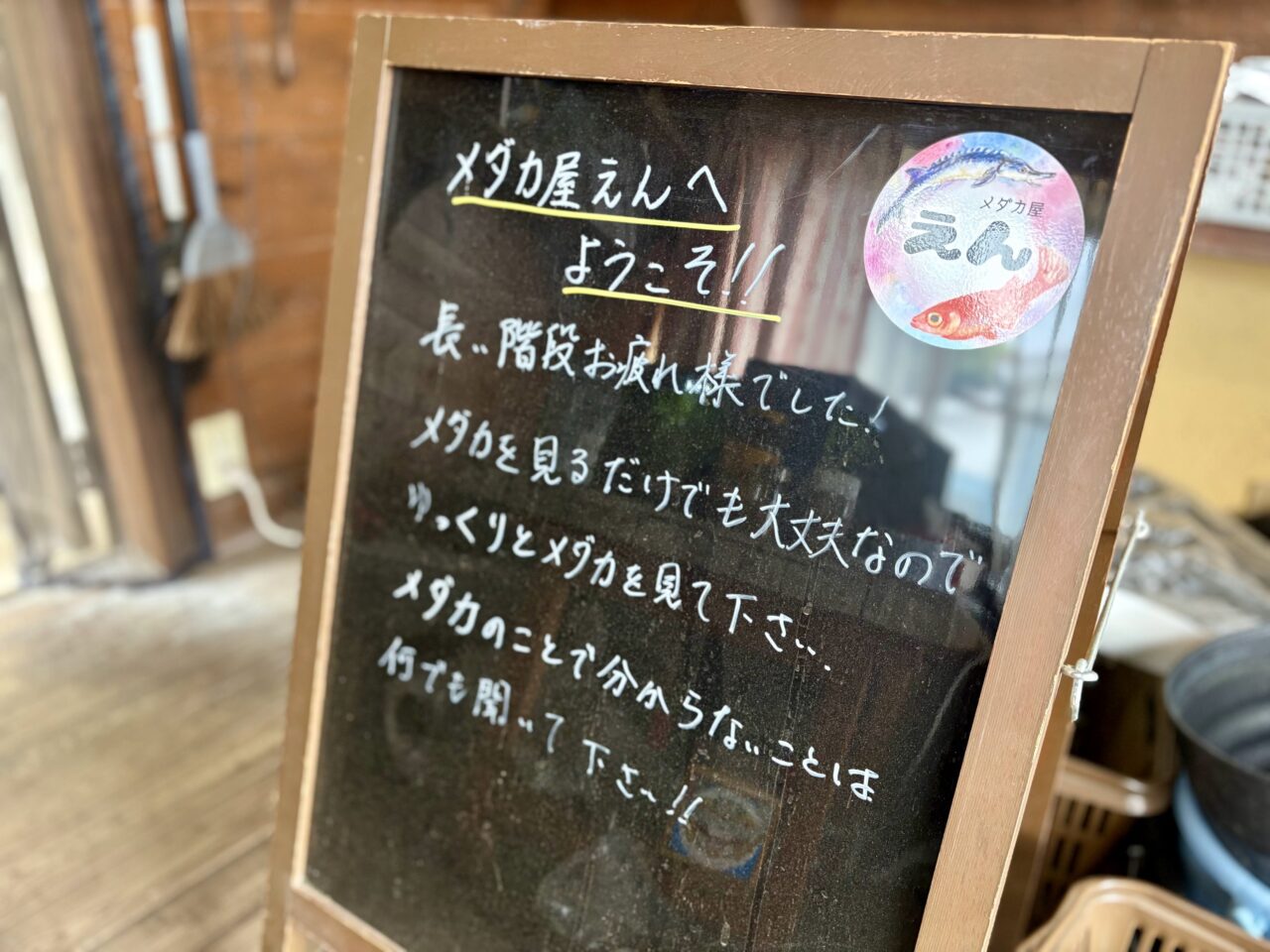 めだか屋えん