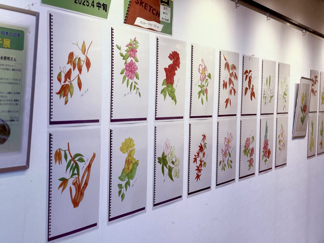 四季の草花スケッチ展