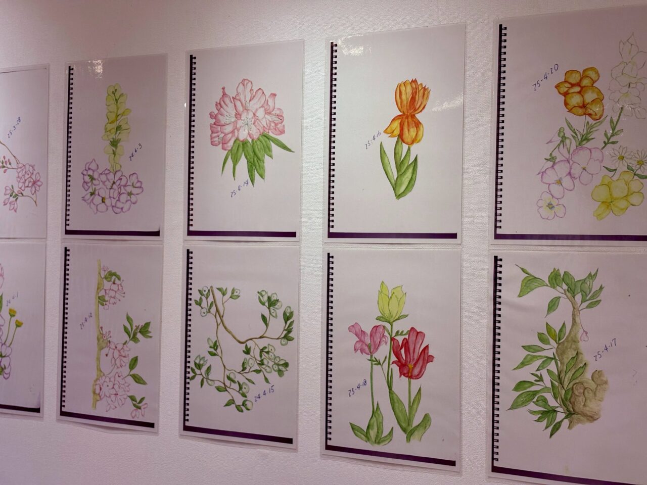 四季の草花スケッチ展