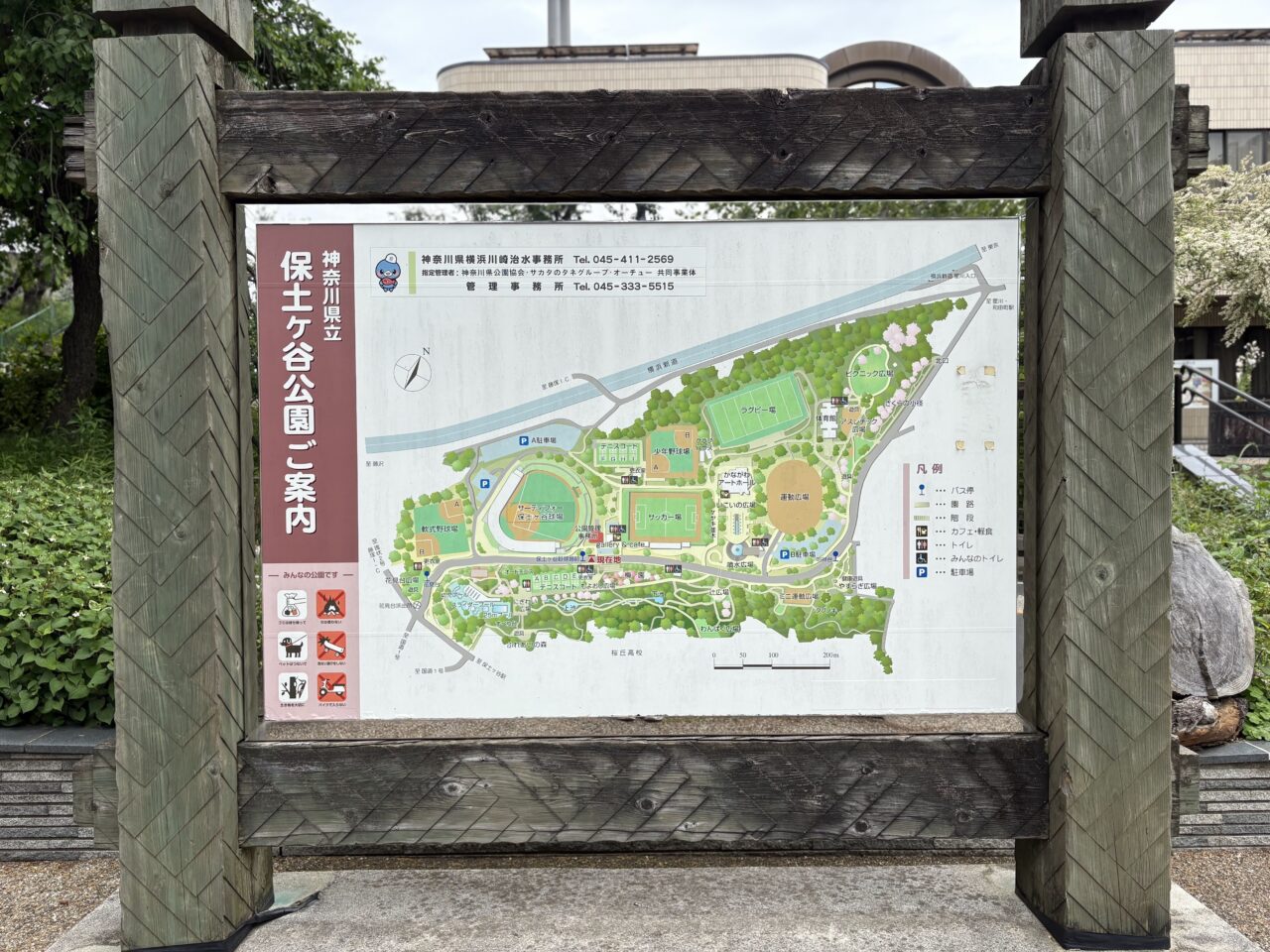 四季の草花スケッチ展