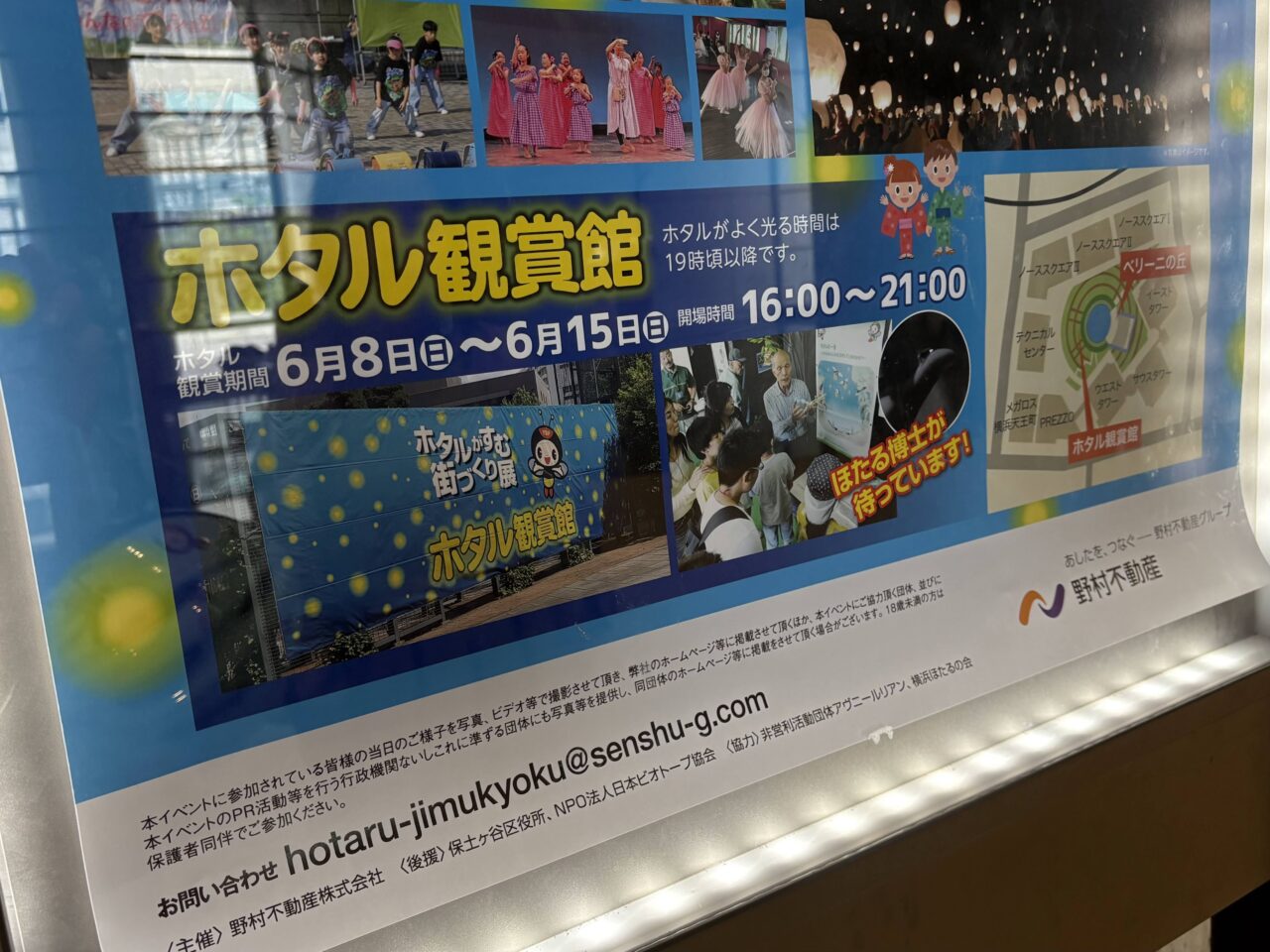 ひかりのフェスティバル
