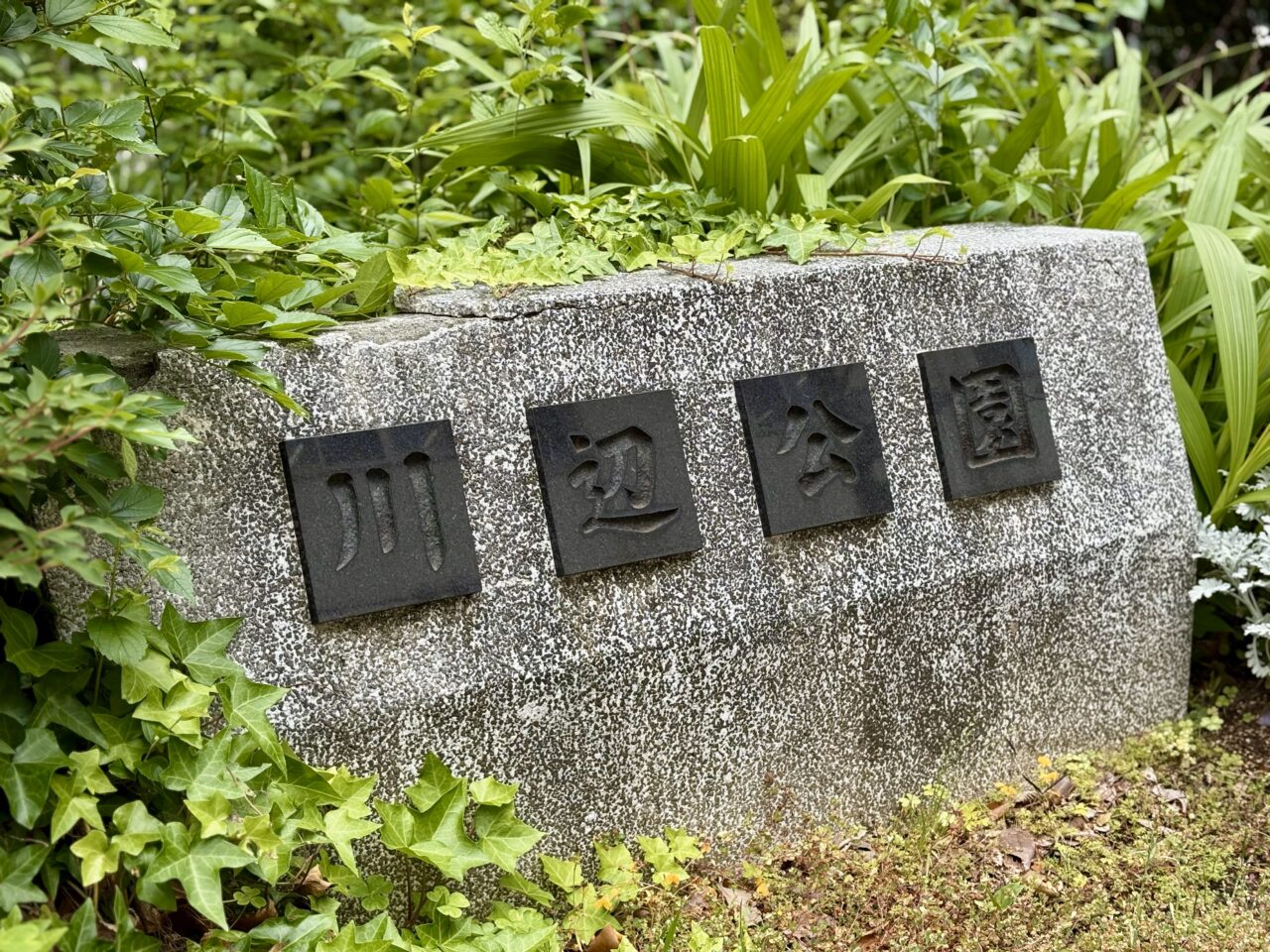 川辺公園