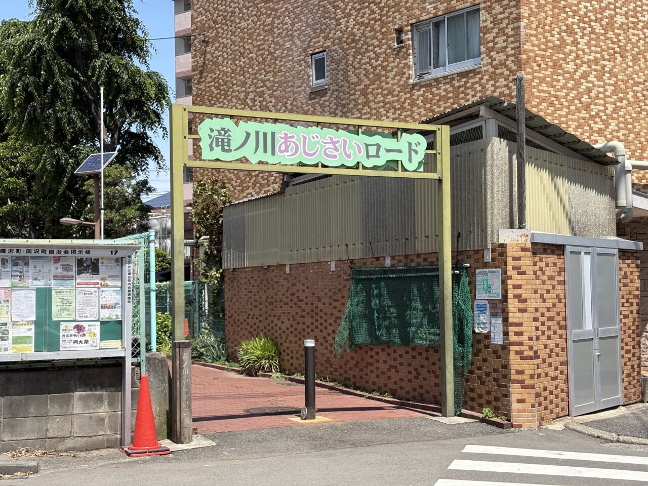 滝ノ川あじさいロード