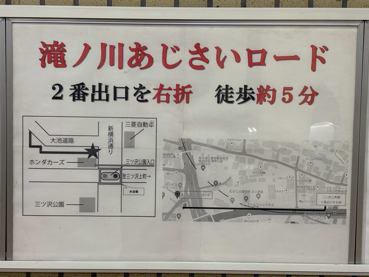 滝ノ川あじさいロード