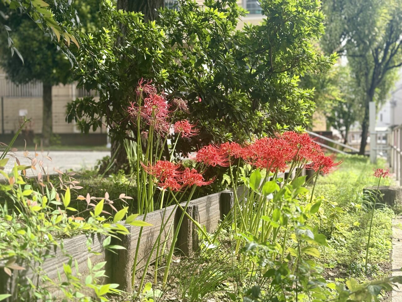 天王町北公園